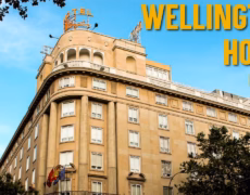 Descubre el turismo cultural en la Galería de Arte Suite Wellington